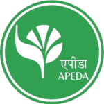 images removebg preview